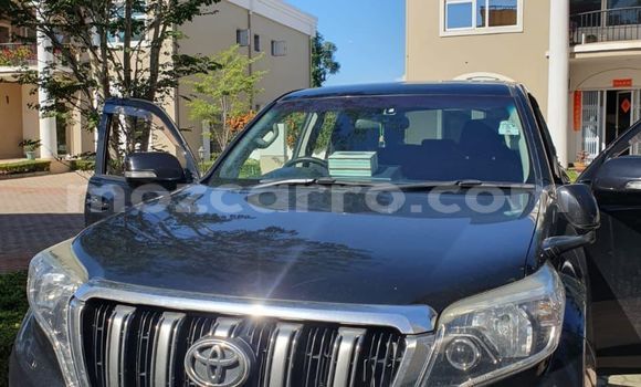 Tenga Tsaru Toyota Land Cruiser Prado Nhema Mota in Maputo in Maputo