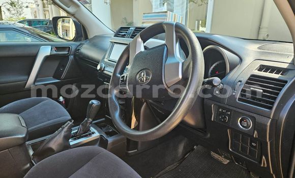 Tenga Tsaru Toyota Land Cruiser Prado Nhema Mota in Maputo in Maputo Tenga Tsaru Toyota Land Cruiser Prado Nhema Mota in Maputo in Maputo