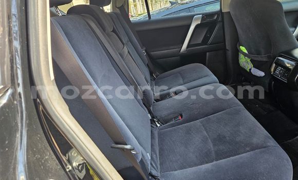 Tenga Tsaru Toyota Land Cruiser Prado Nhema Mota in Maputo in Maputo Tenga Tsaru Toyota Land Cruiser Prado Nhema Mota in Maputo in Maputo