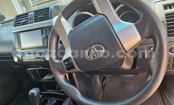 Tenga Tsaru Toyota Land Cruiser Prado Nhema Mota in Maputo in Maputo Tenga Tsaru Toyota Land Cruiser Prado Nhema Mota in Maputo in Maputo