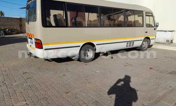 Tenga Tsaru Toyota Coaster Bhurawuni Mota in Maputo in Maputo Tenga Tsaru Toyota Coaster Bhurawuni Mota in Maputo in Maputo