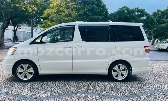 Comprar Usado Toyota Alphard Branco Carro em Maputo em Maputo Comprar Usado Toyota Alphard Branco Carro em Maputo em Maputo