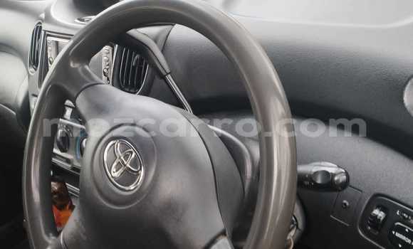 Tenga Tsaru Toyota FunCargo Bhuruu Mota in Maputo in Maputo Tenga Tsaru Toyota FunCargo Bhuruu Mota in Maputo in Maputo