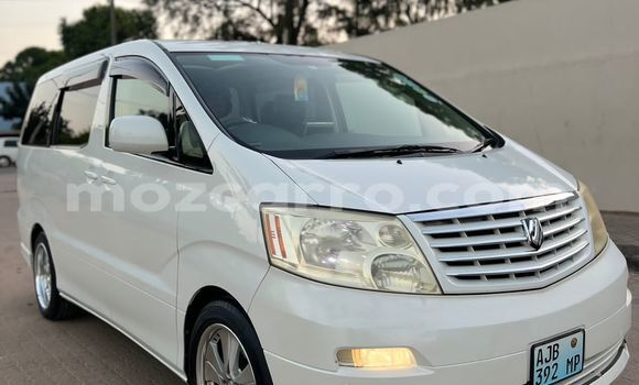 Buy Used Toyota Alphard White Car in Maputo in Maputo Buy Used Toyota Alphard White Car in Maputo in Maputo