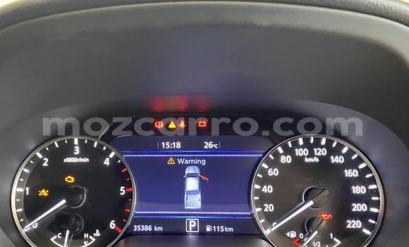 Buy Used Nissan Navara White Car in Maputo in Maputo Buy Used Nissan Navara White Car in Maputo in Maputo