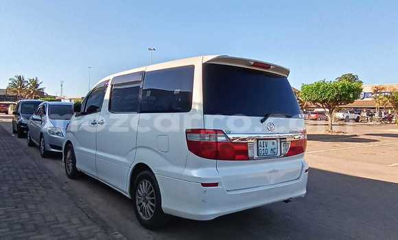 Tenga Tsaru Toyota Alphard Chena Mota in Maputo in Maputo Tenga Tsaru Toyota Alphard Chena Mota in Maputo in Maputo