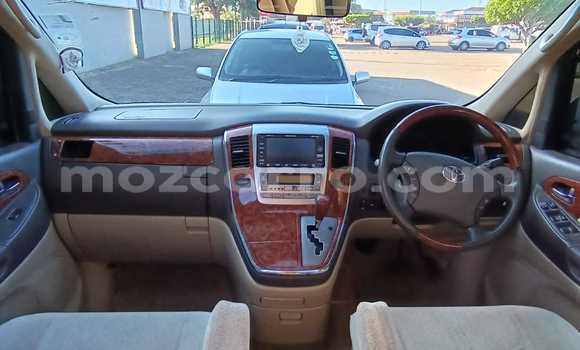 Tenga Tsaru Toyota Alphard Chena Mota in Maputo in Maputo Tenga Tsaru Toyota Alphard Chena Mota in Maputo in Maputo