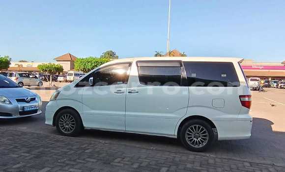 Tenga Tsaru Toyota Alphard Chena Mota in Maputo in Maputo Tenga Tsaru Toyota Alphard Chena Mota in Maputo in Maputo