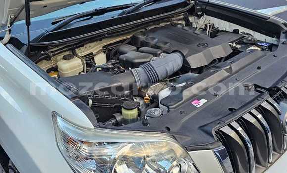 Buy New Toyota Land Cruiser Prado White Car in Maputo in Maputo Buy New Toyota Land Cruiser Prado White Car in Maputo in Maputo