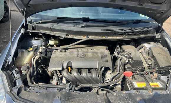 Tenga Tsaru Toyota Auris Sirivha Mota in Maputo in Maputo Tenga Tsaru Toyota Auris Sirivha Mota in Maputo in Maputo