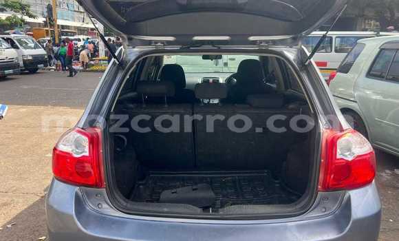 Tenga Tsaru Toyota Auris Sirivha Mota in Maputo in Maputo Tenga Tsaru Toyota Auris Sirivha Mota in Maputo in Maputo