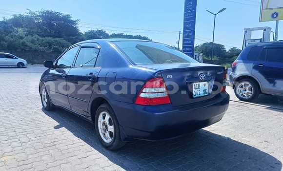 Nunua Ilio tumika Toyota Corolla Bluu Gari ndani ya Maputo nchini Maputo Nunua Ilio tumika Toyota Corolla Bluu Gari ndani ya Maputo nchini Maputo