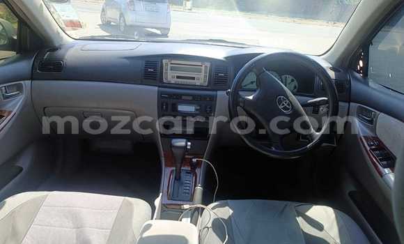 Nunua Ilio tumika Toyota Corolla Bluu Gari ndani ya Maputo nchini Maputo Nunua Ilio tumika Toyota Corolla Bluu Gari ndani ya Maputo nchini Maputo