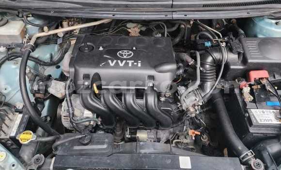 Buy Used Toyota Spacio Blue Car in Maputo in Maputo Buy Used Toyota Spacio Blue Car in Maputo in Maputo