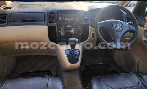 Buy Used Toyota Spacio Blue Car in Maputo in Maputo Buy Used Toyota Spacio Blue Car in Maputo in Maputo