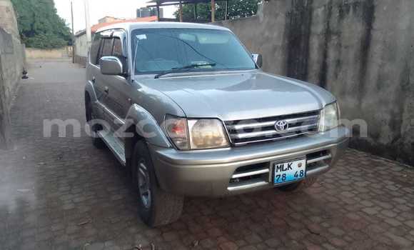 Tenga Tsaru Toyota Land Cruiser Prado Zvimwe Mota in Maputo in Maputo Tenga Tsaru Toyota Land Cruiser Prado Zvimwe Mota in Maputo in Maputo