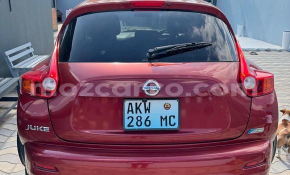 Nunua Ilio tumika Nissan Juke Nyekundu Gari ndani ya Maputo nchini Maputo Nunua Ilio tumika Nissan Juke Nyekundu Gari ndani ya Maputo nchini Maputo