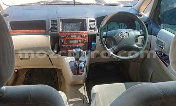 Buy Used Toyota Spacio Blue Car in Maputo in Maputo Buy Used Toyota Spacio Blue Car in Maputo in Maputo