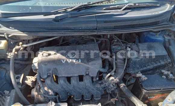 Buy Used Toyota Spacio Blue Car in Maputo in Maputo Buy Used Toyota Spacio Blue Car in Maputo in Maputo
