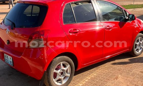 Buy Used Toyota Vitz Red Car in Maputo in Maputo Buy Used Toyota Vitz Red Car in Maputo in Maputo