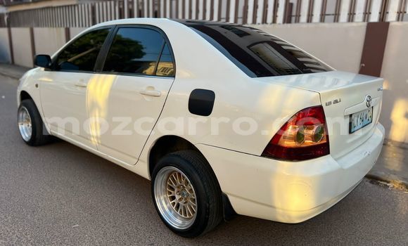 Comprar Usado Toyota Corolla Branco Carro em Maputo em Maputo Comprar Usado Toyota Corolla Branco Carro em Maputo em Maputo