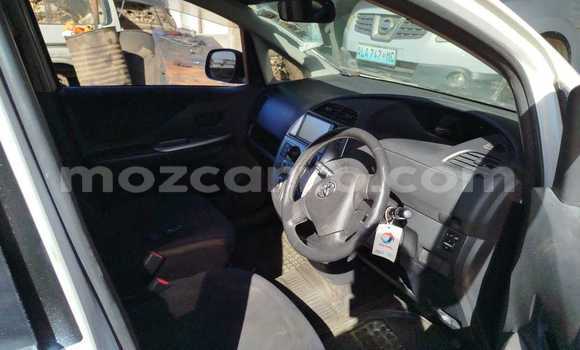 Nunua Ilio tumika Toyota Ractis Nyeupe Gari ndani ya Maputo nchini Maputo Nunua Ilio tumika Toyota Ractis Nyeupe Gari ndani ya Maputo nchini Maputo