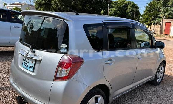Buy Used Toyota Ractis Silver Car in Maputo in Maputo Buy Used Toyota Ractis Silver Car in Maputo in Maputo