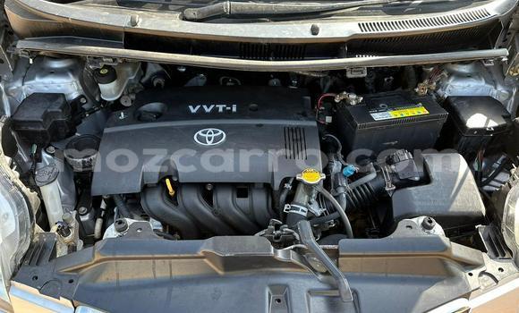 Buy Used Toyota Ractis Silver Car in Maputo in Maputo Buy Used Toyota Ractis Silver Car in Maputo in Maputo