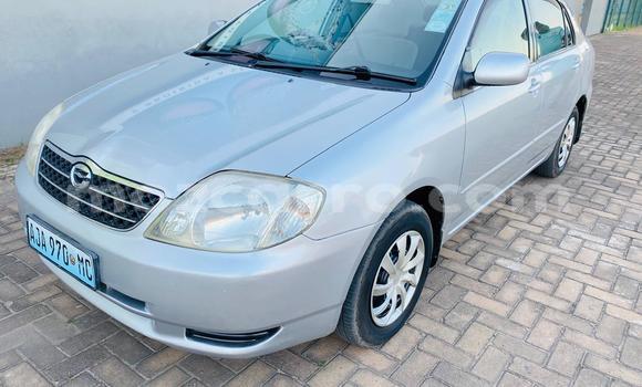 Nunua Mpya Toyota Corolla Fedha Gari ndani ya Maputo nchini Maputo Nunua Mpya Toyota Corolla Fedha Gari ndani ya Maputo nchini Maputo