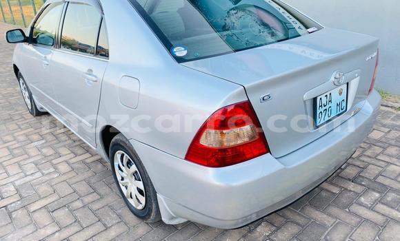 Buy New Toyota Corolla Silver Car in Maputo in Maputo Buy New Toyota Corolla Silver Car in Maputo in Maputo