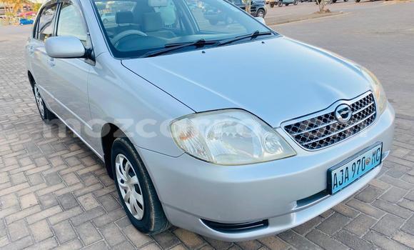 Buy New Toyota Corolla Silver Car in Maputo in Maputo Buy New Toyota Corolla Silver Car in Maputo in Maputo