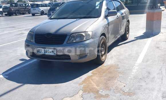 Comprar Usado Toyota Corolla Castanho Carro em Maputo em Maputo Comprar Usado Toyota Corolla Castanho Carro em Maputo em Maputo