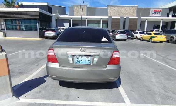Comprar Usado Toyota Corolla Castanho Carro em Maputo em Maputo Comprar Usado Toyota Corolla Castanho Carro em Maputo em Maputo