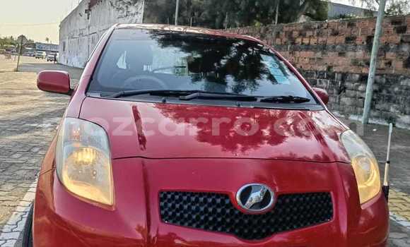 Buy Used Toyota Vitz Red Car in Maputo in Maputo