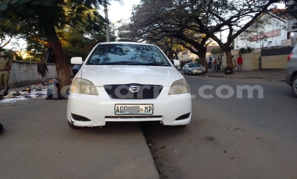 Nunua Ilio tumika Toyota Runx Nyeupe Gari ndani ya Maputo nchini Maputo