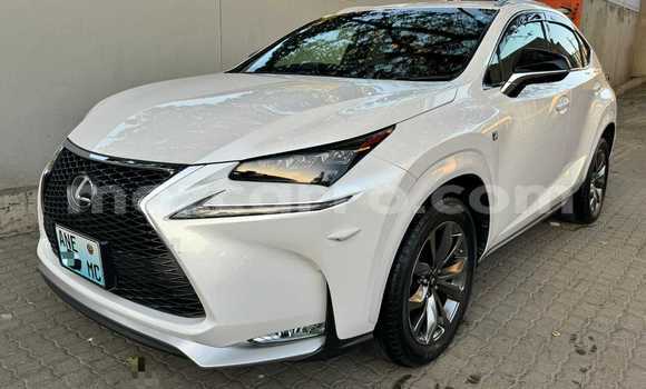 Comprar Novo Lexus NX Branco Carro em Maputo em Maputo Comprar Novo Lexus NX Branco Carro em Maputo em Maputo