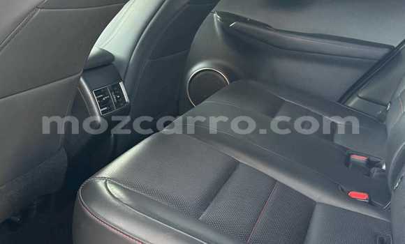 Comprar Novo Lexus NX Branco Carro em Maputo em Maputo Comprar Novo Lexus NX Branco Carro em Maputo em Maputo
