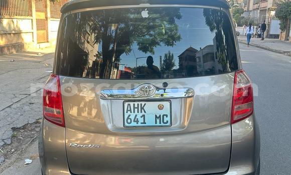 Comprar Usado Toyota Ractis Castanho Carro em Maputo em Maputo Comprar Usado Toyota Ractis Castanho Carro em Maputo em Maputo