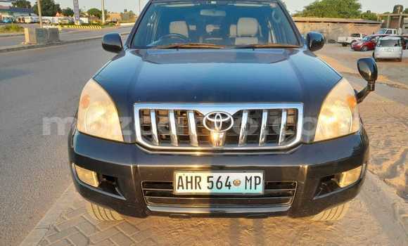 Tenga Tsaru Toyota Land Cruiser Prado Nhema Mota in Maputo in Maputo