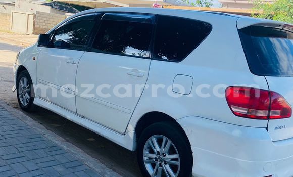 Tenga Tsaru Toyota Ipsum Chena Mota in Maputo in Maputo Tenga Tsaru Toyota Ipsum Chena Mota in Maputo in Maputo