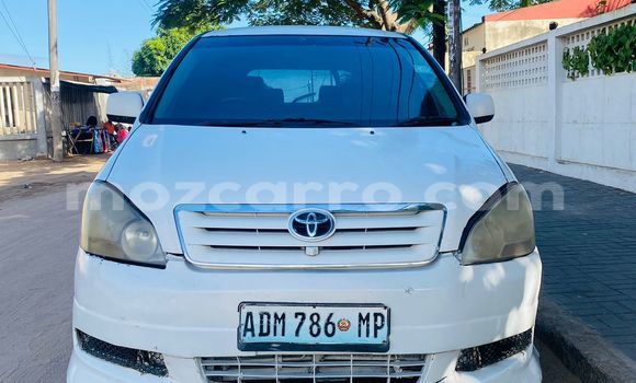 Tenga Tsaru Toyota Ipsum Chena Mota in Maputo in Maputo Tenga Tsaru Toyota Ipsum Chena Mota in Maputo in Maputo