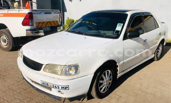 Tenga Tsaru Toyota Cressida Chena Mota in Balama in Cabo Delgado Tenga Tsaru Toyota Cressida Chena Mota in Balama in Cabo Delgado