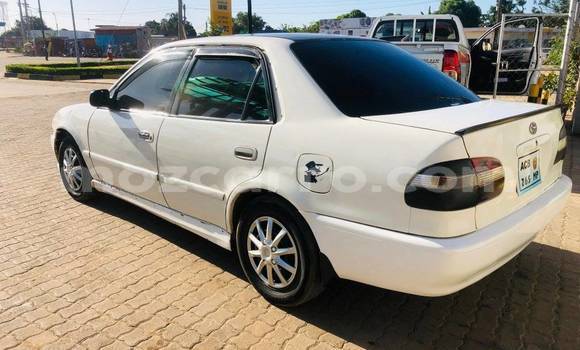 Tenga Tsaru Toyota Cressida Chena Mota in Balama in Cabo Delgado Tenga Tsaru Toyota Cressida Chena Mota in Balama in Cabo Delgado