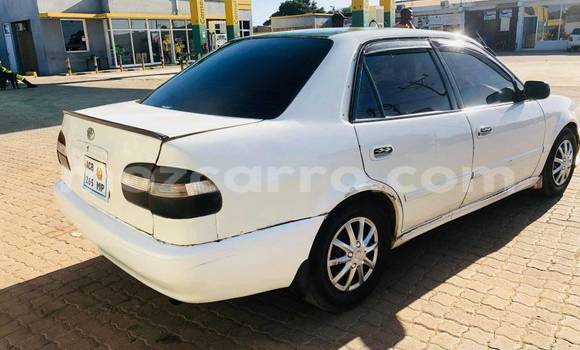 Tenga Tsaru Toyota Cressida Chena Mota in Balama in Cabo Delgado Tenga Tsaru Toyota Cressida Chena Mota in Balama in Cabo Delgado