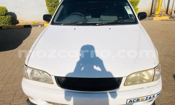 Tenga Tsaru Toyota Cressida Chena Mota in Balama in Cabo Delgado Tenga Tsaru Toyota Cressida Chena Mota in Balama in Cabo Delgado