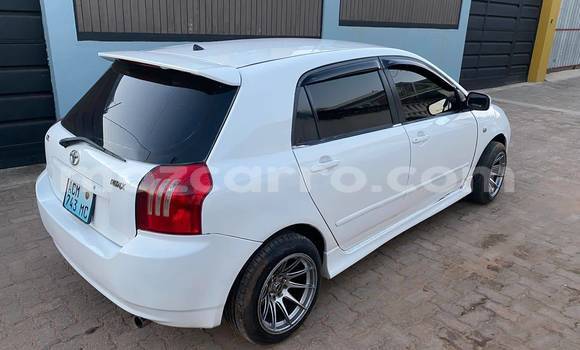 Buy Used Toyota Runx White Car in Balama in Cabo Delgado Buy Used Toyota Runx White Car in Balama in Cabo Delgado