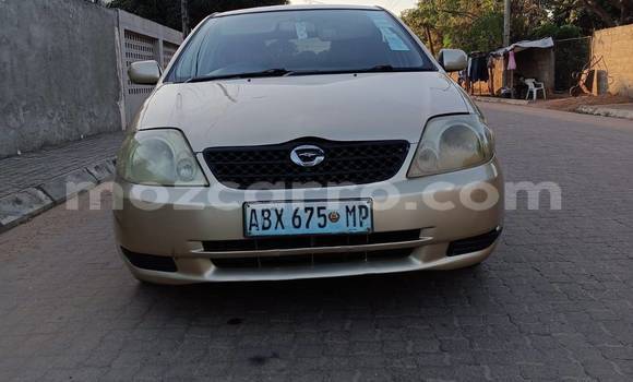 Comprar Usado Toyota Runx De outros Carro em Beira em Sofala