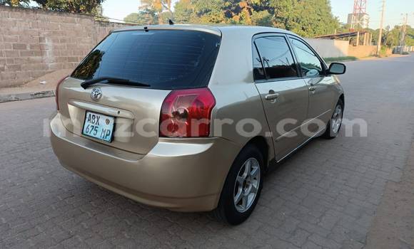 Buy Used Toyota Runx Other Car in Beira in Sofala Buy Used Toyota Runx Other Car in Beira in Sofala