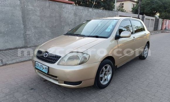 Buy Used Toyota Runx Other Car in Beira in Sofala Buy Used Toyota Runx Other Car in Beira in Sofala