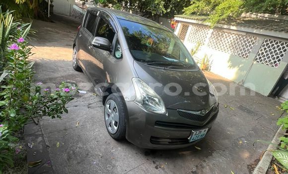 Buy Used Toyota Ractis Other Car in Maputo in Maputo